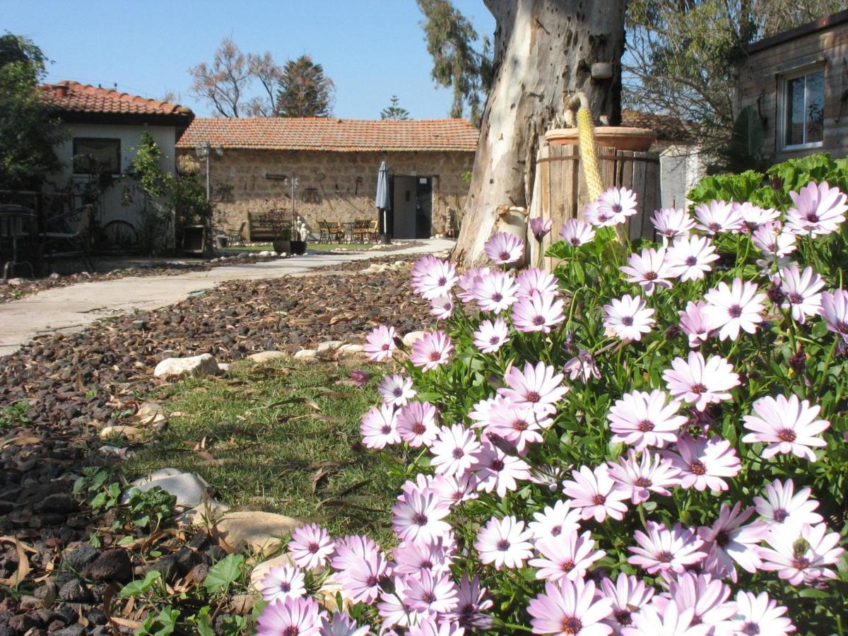 Mazkeret Batya Lemazkeret Bed & Breakfast エクステリア 写真